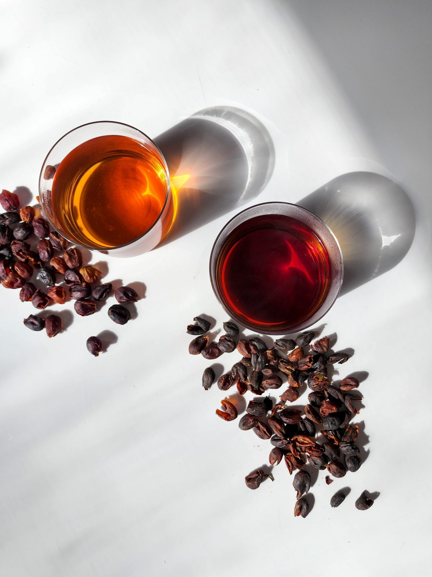 Costa Rican Coffee Cascara from Radio Roasters Coffee