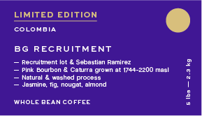 BG Recruitment